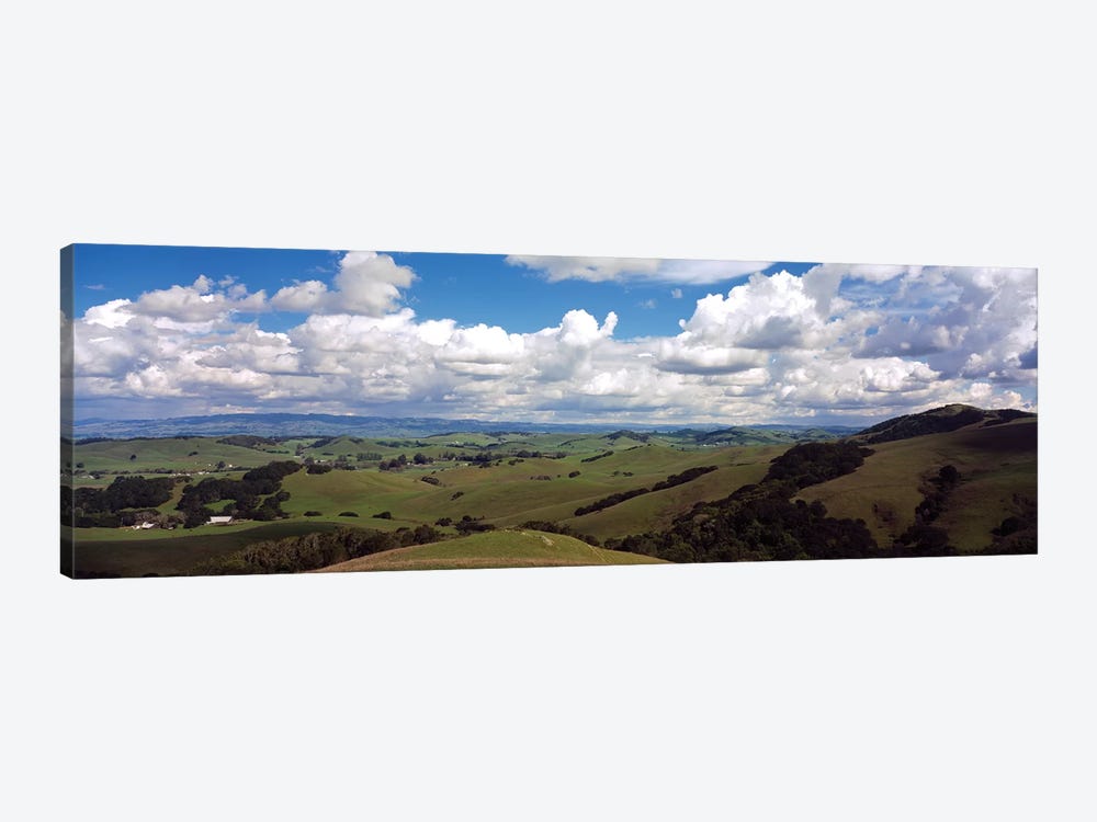 Fields & Meadows Northern California, USA by Panoramic Images 1-piece Canvas Artwork