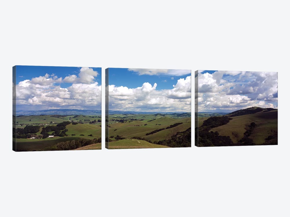 Fields & Meadows Northern California, USA by Panoramic Images 3-piece Canvas Artwork