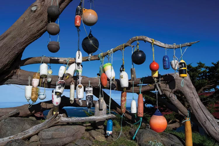 Floats Hanging On A Tree, Battery Point Lighthouse, Crescent City, California, USA