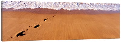 Footprints In Sand On The Beach, Hawaii, USA Canvas Art Print - Sandy Beach Art