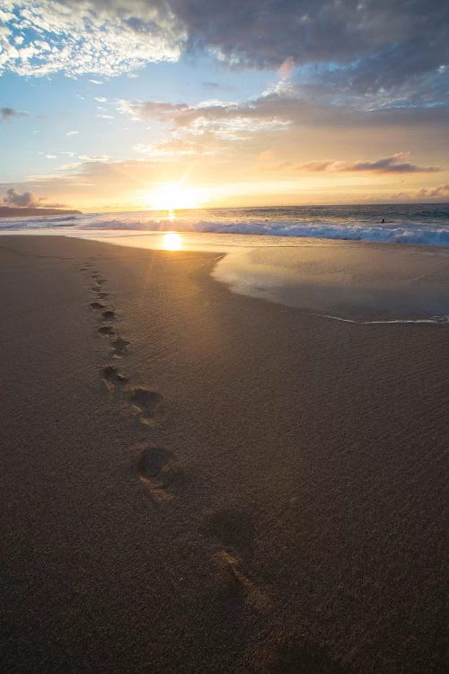 Footprints On The Beach At Sunset, Oahu, Hawaii, USA