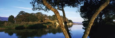 Goleta Slough Wetlands, Goleta, California, USA by Panoramic Images canvas print