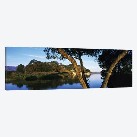 Goleta Slough Wetlands, Goleta, California, USA Canvas Print #PIM14671} by Panoramic Images Canvas Art