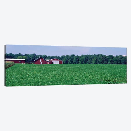 Green Field With Barn In The Background, Maryland, USA Canvas Print #PIM14677} by Panoramic Images Art Print