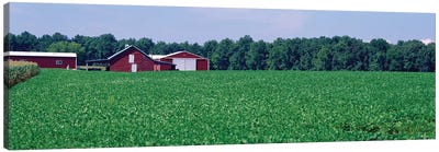 Green Field With Barn In The Background, Maryland, USA Canvas Art Print - Barns