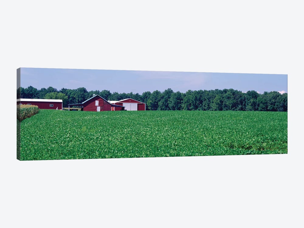 Green Field With Barn In The Background, Maryland, USA by Panoramic Images 1-piece Canvas Art