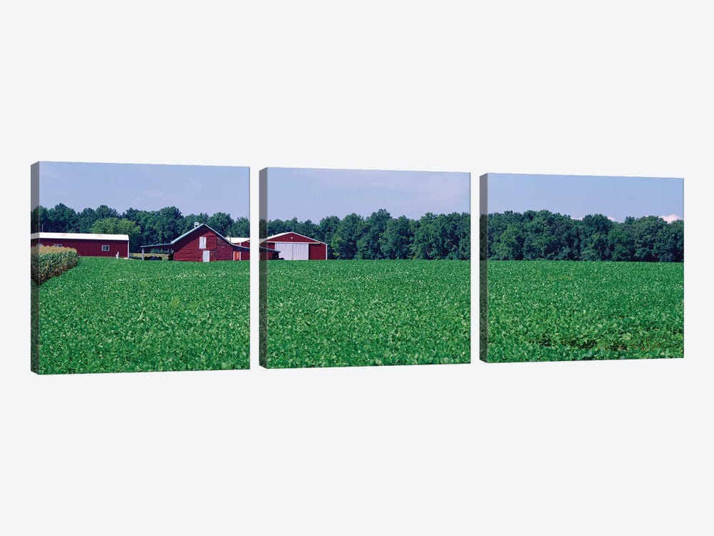 Green Field With Barn In The Background, Maryland, USA by Panoramic Images 3-piece Canvas Artwork