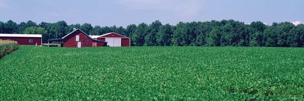 Maryland: Green Field With Barn In The Background, Maryland, USA by Panoramic Images
