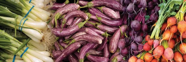 Gardening: Green Onions, Chinese Eggplant, Red And Golden Beets For Sale by Panoramic Images