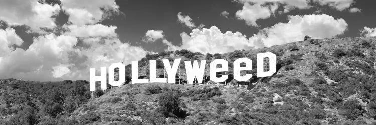 Hollywood Sign Changed To Hollyweed, Los Angeles, California, USA (Black And White)