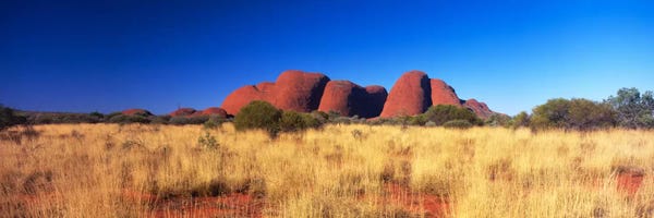 Northern Territory: Kata Tjuta (Mount Olga), Uluru-Kata Tjuta National Park, Australia by Panoramic Images