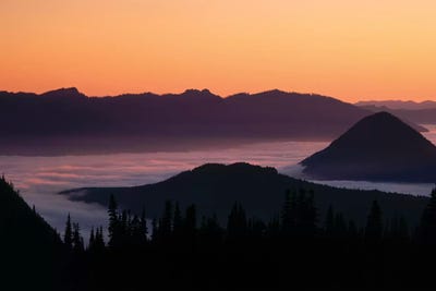 Foggy Mountainscape, Mount Rainier National Park, Washington, USA by Panoramic Images art print