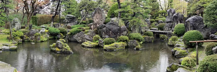 Koi Fish In A Pond At Hirosaki Park, Hirosaki, Aomori Prefecture, Japan