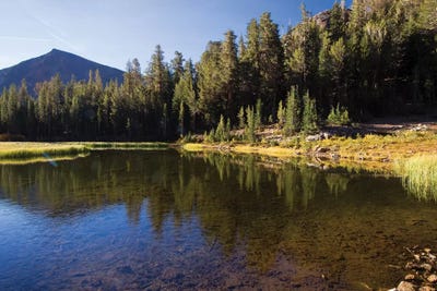 Bishop, California