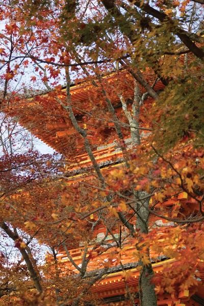 Kyoto: Main Pagoda At Kiyomizu-Dera Temple Seen Through Fall Foliage, Kyoti Prefecture, Japan by Panoramic Images