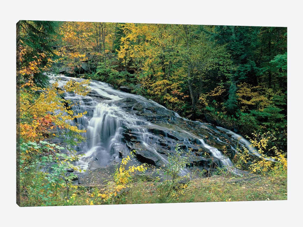 Marshfield Falls, Winooski River, Marshfield, Washington County, Vermont, USA I by Panoramic Images 1-piece Canvas Print
