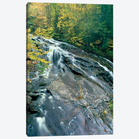 Marshfield Falls, Winooski River, Marshfield, Washington County, Vermont, USA II Canvas Print #PIM14743} by Panoramic Images Canvas Artwork
