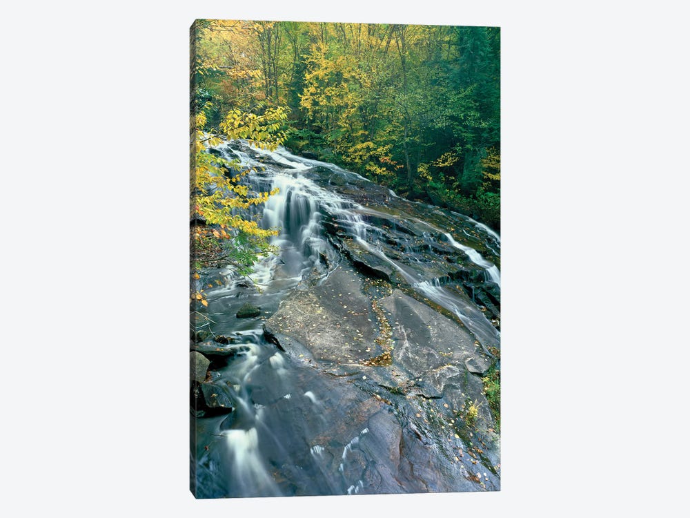 Marshfield Falls, Winooski River, Marshfield, Washington County, Vermont, USA II by Panoramic Images 1-piece Canvas Artwork