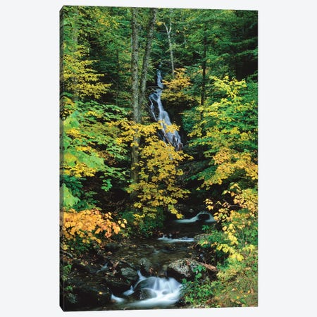 Moss Glen Falls, Vermont Route 100, Granville Reservation State Park, Vermont, USA II Canvas Print #PIM14750} by Panoramic Images Canvas Art Print