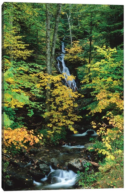 Moss Glen Falls, Vermont Route 100, Granville Reservation State Park, Vermont, USA II Canvas Art Print - Vermont Art