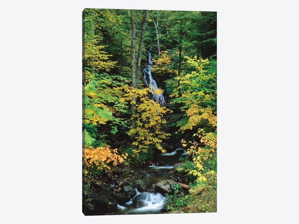 Moss Glen Falls, Vermont Route 100, Granville Reservation State Park, Vermont, USA II by Panoramic Images 1-piece Canvas Wall Art