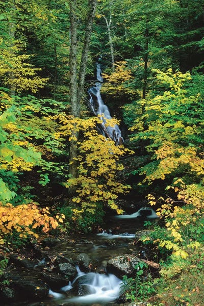 Vermont: Moss Glen Falls, Vermont Route 100, Granville Reservation State Park, Vermont, USA II by Panoramic Images