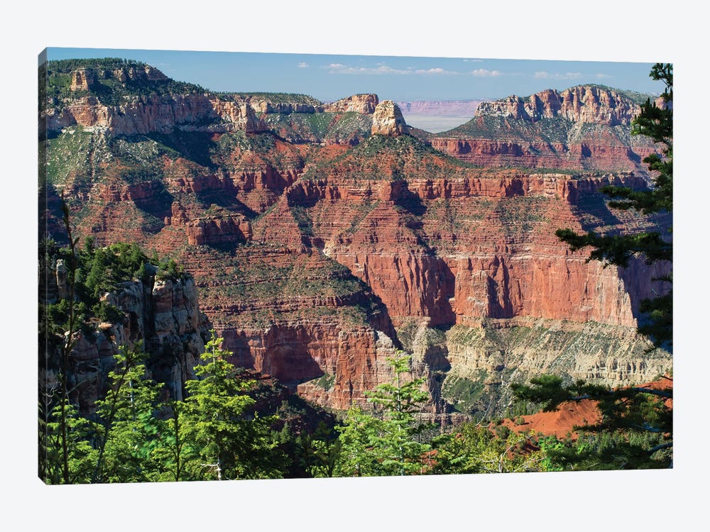 North And South Rims, Grand Canyon National Park, Arizona, USA III by Panoramic Images 1-piece Art Print