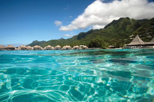 Tropical Beaches: Over Under, Half Water-Half Land, Bungalows On The Beach, Moorea, Tahiti, French Polynesia by Panoramic Images