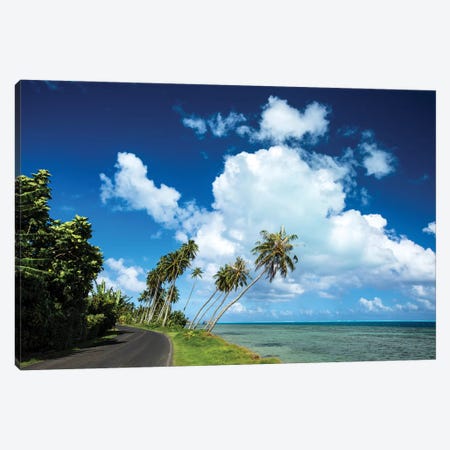Palm Tree Along A Road At The Oceanside, Bora Bora, Society Islands, French Polynesia Canvas Print #PIM14762} by Panoramic Images Canvas Artwork