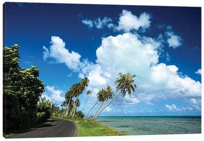 Palm Tree Along A Road At The Oceanside, Bora Bora, Society Islands, French Polynesia Canvas Art Print - Pantone 2020 Classic Blue