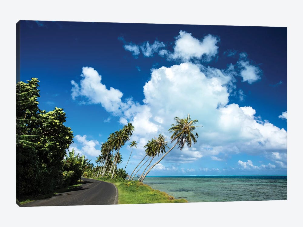 Palm Tree Along A Road At The Oceanside, Bora Bora, Society Islands, French Polynesia by Panoramic Images 1-piece Art Print