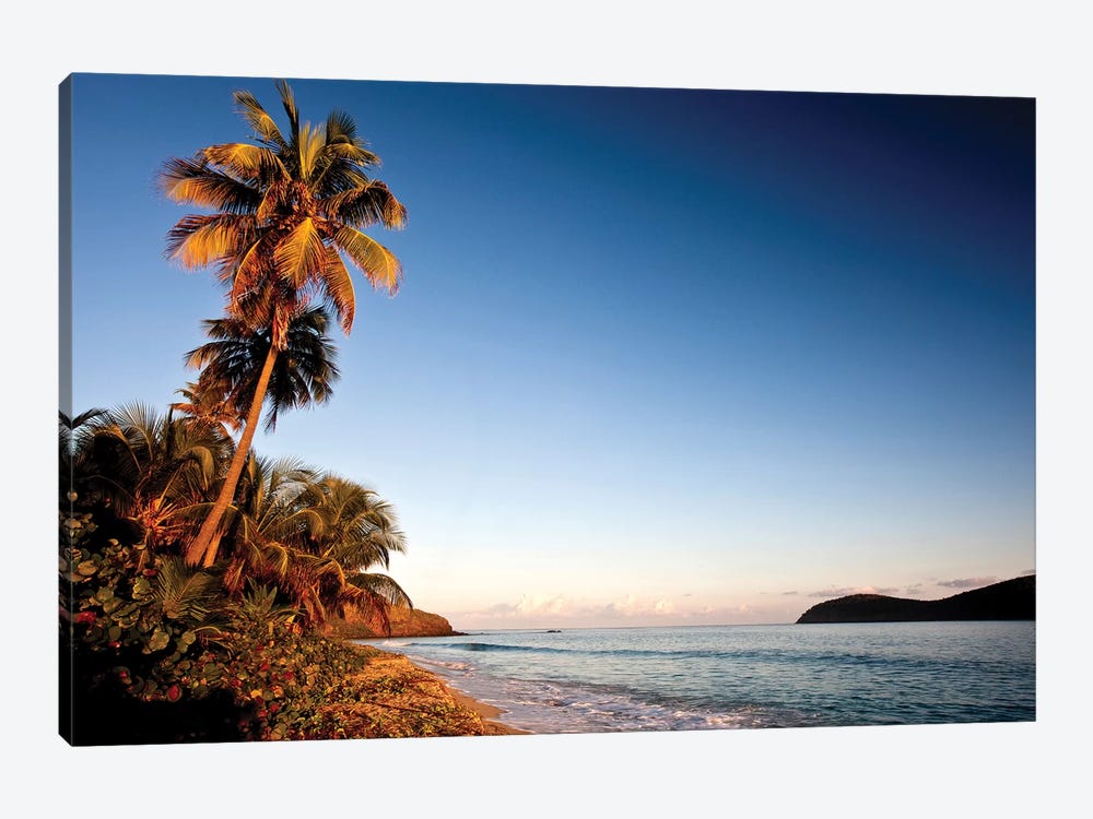 Palm Tree On Beach At Sunset, Culebra Island, Puerto Rico by Panoramic Images 1-piece Canvas Print