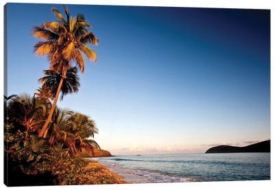Palm Tree On Beach At Sunset, Culebra Island, Puerto Rico Canvas Art Print - Island Art