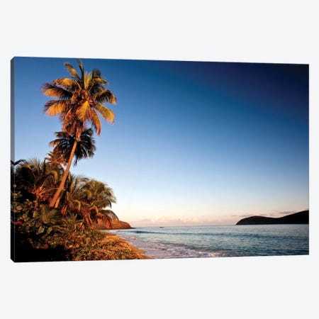 Palm Tree On Beach At Sunset, Culebra Island, Puerto Rico Canvas Print #PIM14764} by Panoramic Images Canvas Print