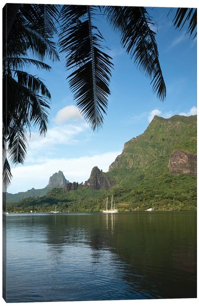 Palm Tree With Boat In The Background, Moorea, Tahiti, French Polynesia I Canvas Art Print - French Polynesia Art