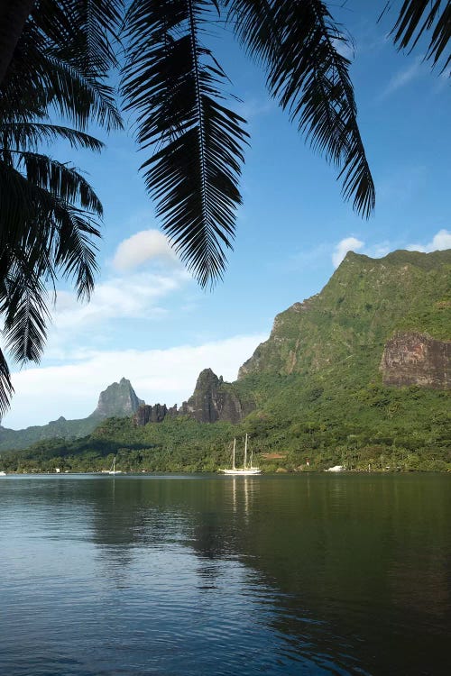 Palm Tree With Boat In The Background, Moorea, Tahiti, French Polynesia I by Panoramic Images wall art