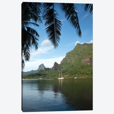 Palm Tree With Boat In The Background, Moorea, Tahiti, French Polynesia I Canvas Print #PIM14766} by Panoramic Images Canvas Art Print
