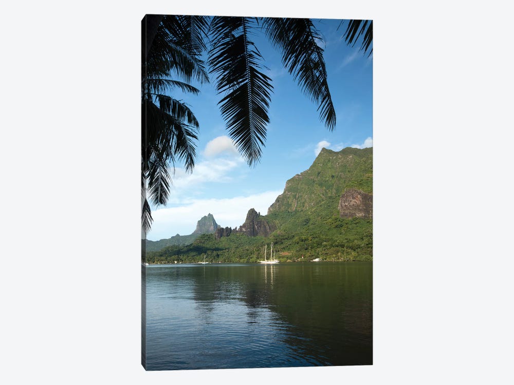 Palm Tree With Boat In The Background, Moorea, Tahiti, French Polynesia I by Panoramic Images 1-piece Art Print