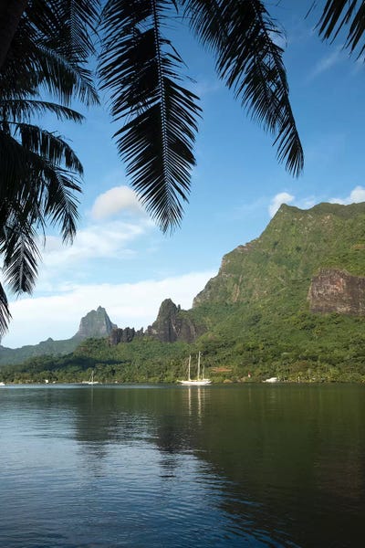 Society Islands: Palm Tree With Boat In The Background, Moorea, Tahiti, French Polynesia I by Panoramic Images