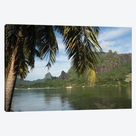 Palm Tree With Boat In The Background, Moorea, Tahiti, French Polynesia II Canvas Print #PIM14767} by Panoramic Images Canvas Print