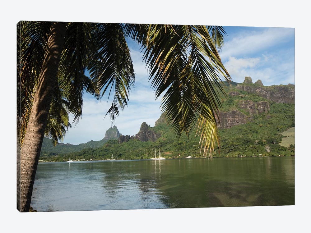 Palm Tree With Boat In The Background, Moorea, Tahiti, French Polynesia II by Panoramic Images 1-piece Canvas Artwork