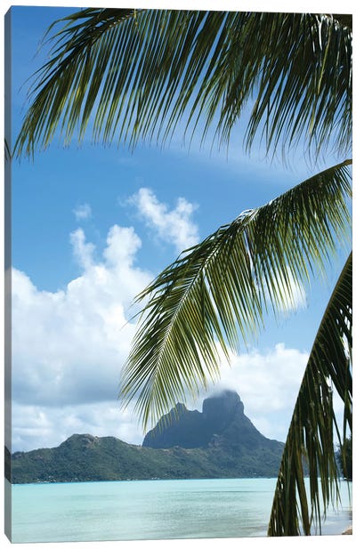 Palm Tree With Island In The Background, Bora Bora, Society Islands, French Polynesia Canvas Art Print - Island Art