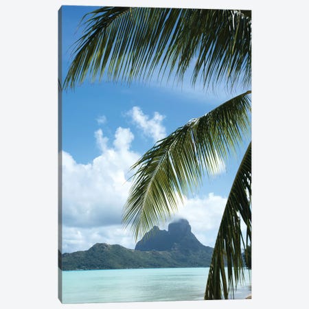 Palm Tree With Island In The Background, Bora Bora, Society Islands, French Polynesia Canvas Print #PIM14768} by Panoramic Images Canvas Wall Art