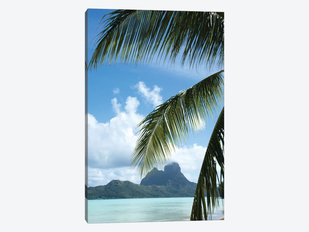 Palm Tree With Island In The Background, Bora Bora, Society Islands, French Polynesia by Panoramic Images 1-piece Art Print