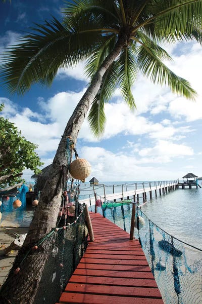Palm Trees And Dock, Bora Bora, Society Islands, French Polynesia by Panoramic Images framed canvas print
