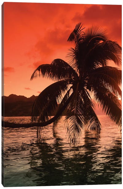 Palm Trees At Sunset, Moorea, Tahiti, French Polynesia I Canvas Art Print - Sunrises & Sunsets Scenic Photography