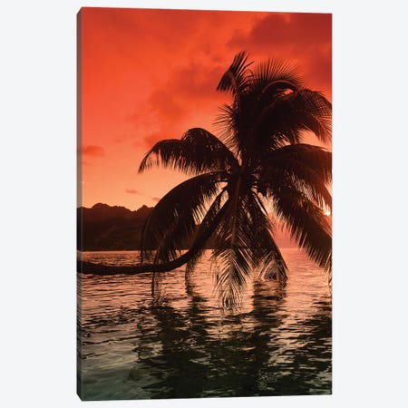 Palm Trees At Sunset, Moorea, Tahiti, French Polynesia I Canvas Print #PIM14771} by Panoramic Images Canvas Art Print