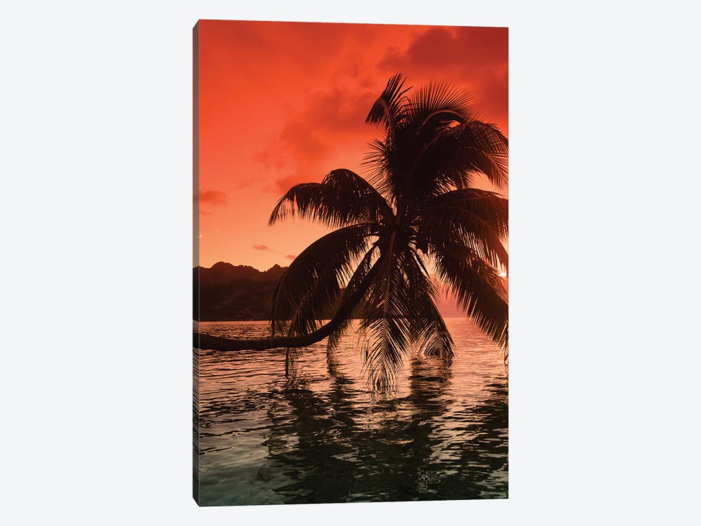 Palm Trees At Sunset, Moorea, Tahiti, French Polynesia I by Panoramic Images 1-piece Canvas Print