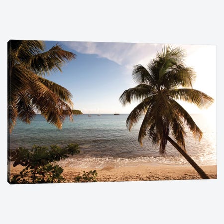 Palm Trees On Beach At Sunset, Culebra Island, Puerto Rico Canvas Print #PIM14773} by Panoramic Images Canvas Art Print