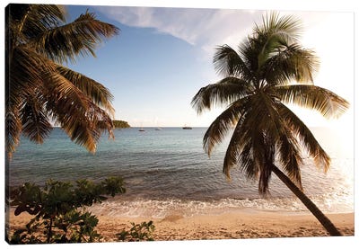 Palm Trees On Beach At Sunset, Culebra Island, Puerto Rico Canvas Art Print - Island Art
